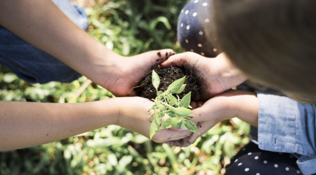 family planting a new tree for the future